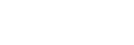 GIZ Logo